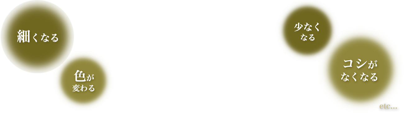 艶やかで豊かな髪。女性はそれを、一生諦められない。